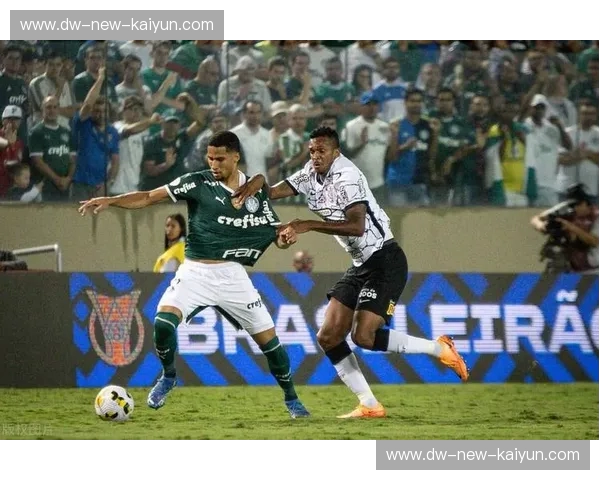 龙星逐鹿：戈亚尼亚竞技与博塔弗戈的绿茵史诗与战术博弈